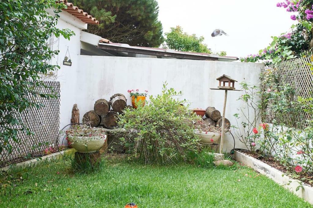 Beija-Flor House Villa Ribamar  Buitenkant foto