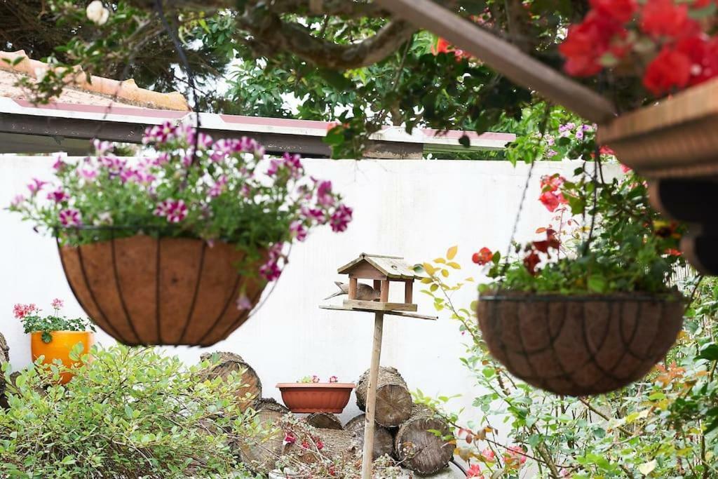Beija-Flor House Villa Ribamar  Buitenkant foto
